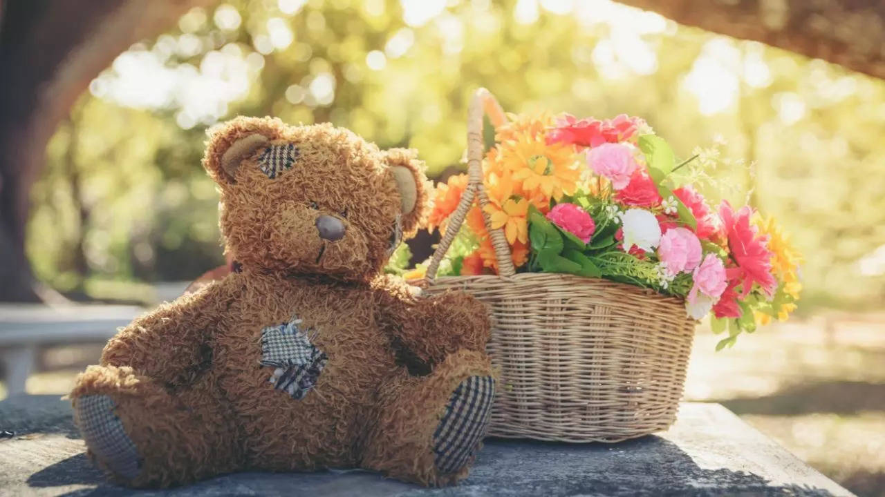 National Teddy Bear Day 2024: How National Teddy Bear Day celebrated? | - Times of India