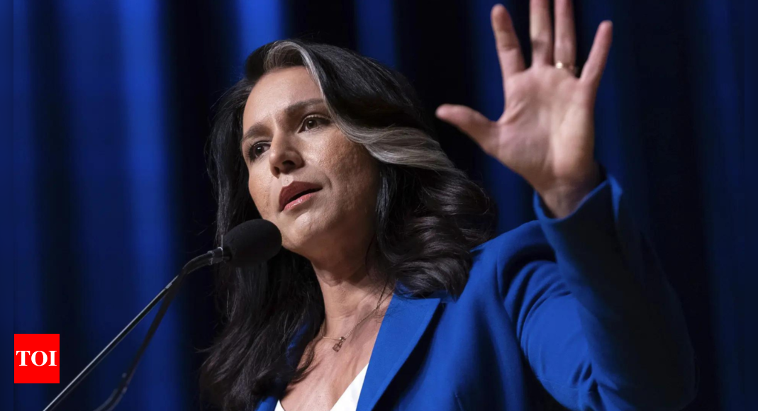 Tulsi Gabbard Kamala Harris: Tulsi Gabbard says Dick Cheney has made it easier: ‘A vote for Kamala Harris is…’