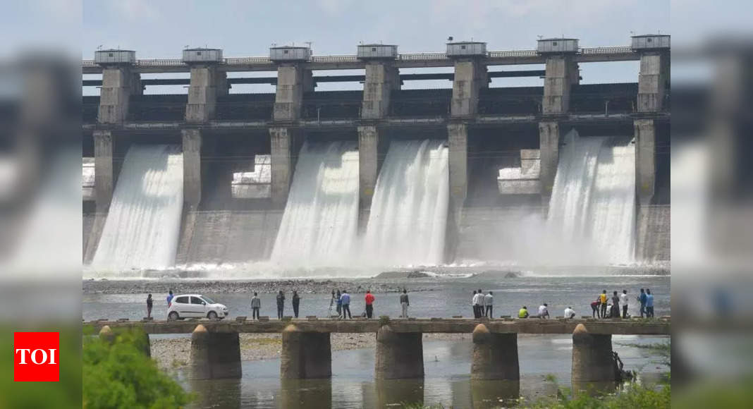 Jayakwadi Dam Opens Gates to Release Water