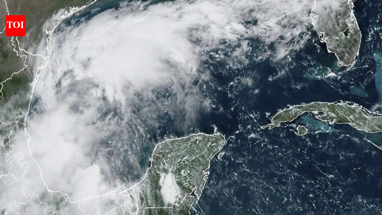 Tropical storm Francine strengthens in Gulf of Mexico, hurricane watch ...