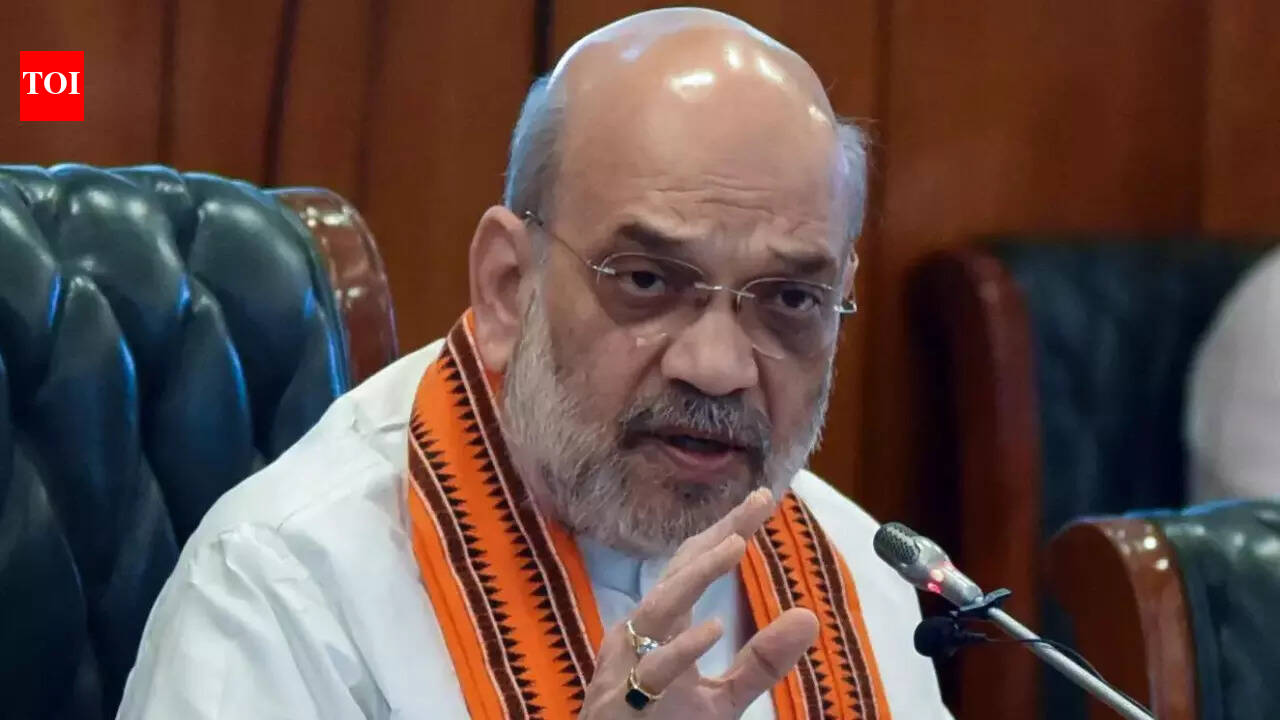 Amit Shah to launch 4 initiatives for cyber safety & security | India ...