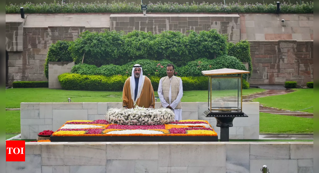 Crown Prince pays tributes to Mahatma