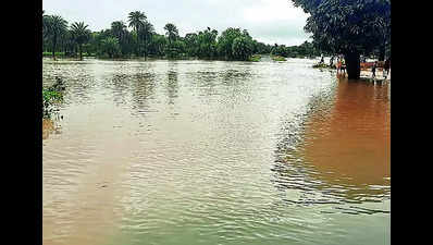 CM reviews flood situation as rain wreaks havoc in south Odisha dists