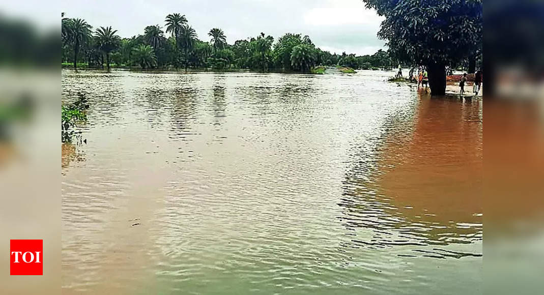 Odisha Chief Minister Reviews Flood Response Efforts