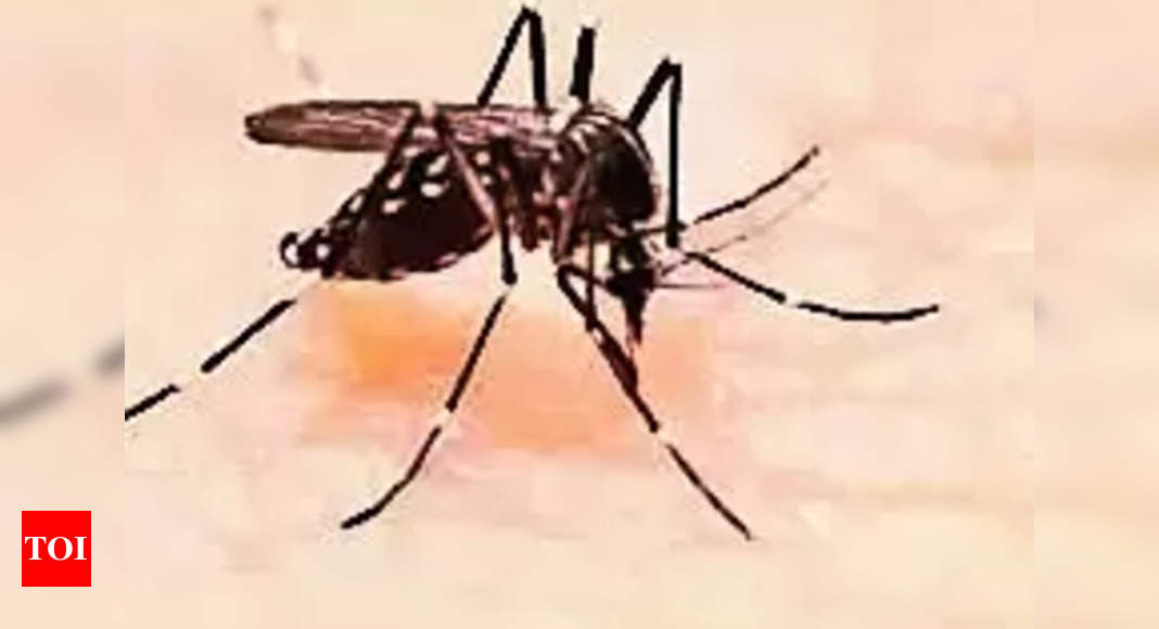 Dengue Cases Surge Across Multiple Regions