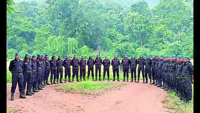 STPF debuts in Satkosia prior to tiger translocation