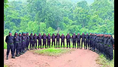 Stpf Debuts In Satkosia Prior To Tiger Translocation | Bhubaneswar News ...