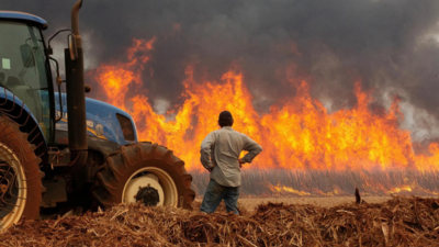 Brazil faces worst drought in 70 years, fuelling wildfires across the country