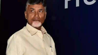 CM N Chandrababu Naidu: Operation Budameru to clear out intruders along rivers