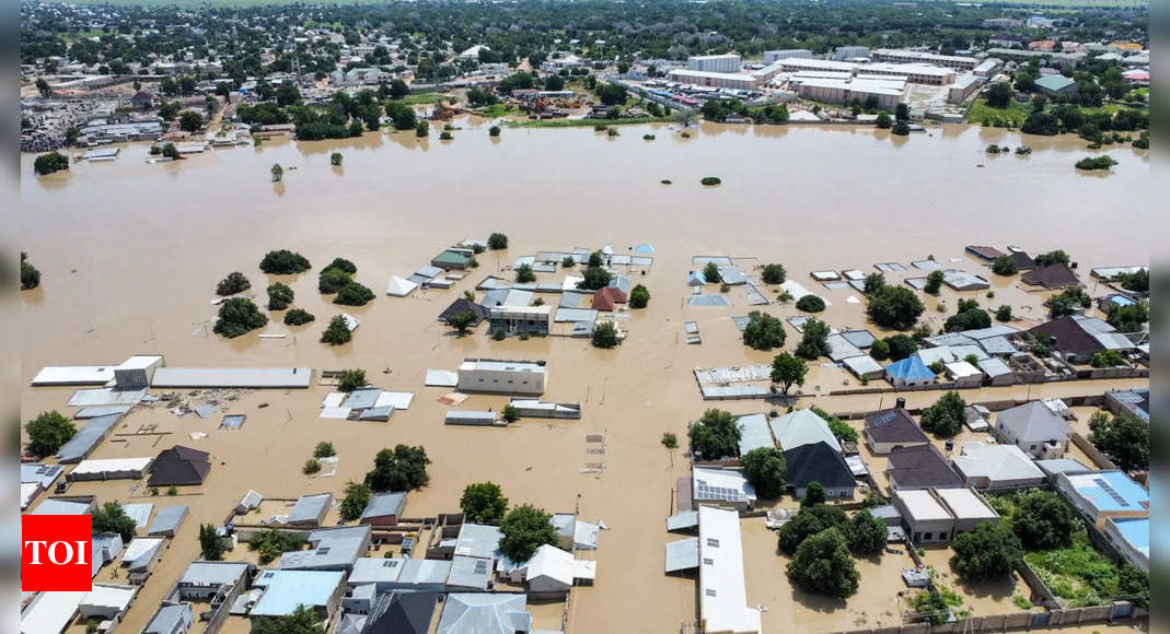 Flooding Devastates Maiduguri Zoo, Wildlife