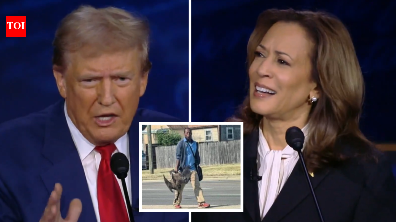 Springfield Eating Pets: Trump falsely accuses immigrants in Ohio of ...