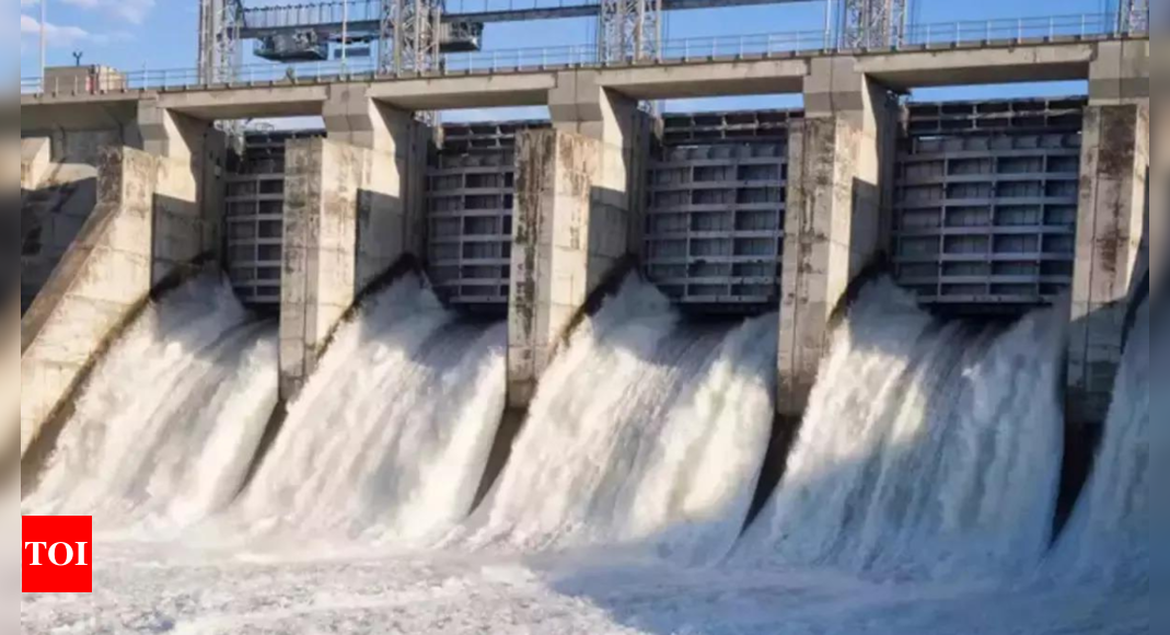 Hydro Electric Projects: Indian government allocates Rs 12,461 crore for hydel projects | India News