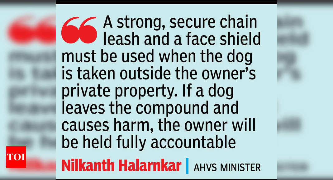 Walking dog in Goa? Mouth guard, leash soon to be must