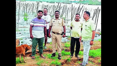 1,022 flood-hit moved to higher ground: Fadnavis