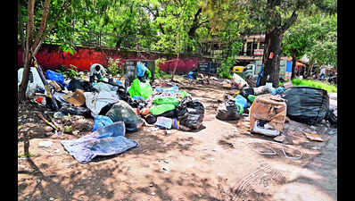 Unsegregated Garbage A Challenge For Ut Mc | Chandigarh News - Times of ...