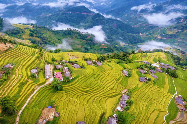 Rice Terraces of the Philippine Cordilleras, Philippines