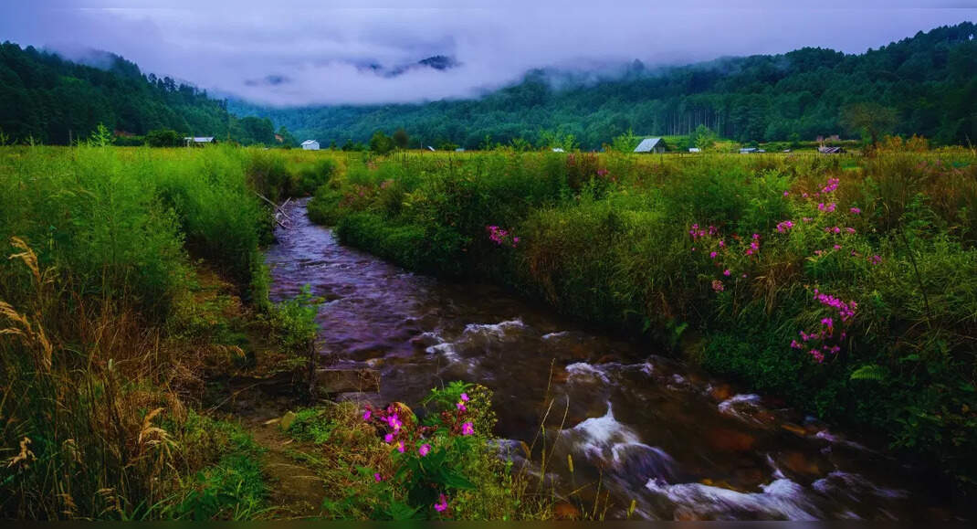 Ziro Music Festival 2024: Everything you need to know | TimesTravel