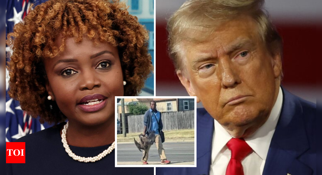 White House calls out Trump for ‘filthy’ lies about haitian migrants eating pets: ‘Lives are in danger’ – Times of India