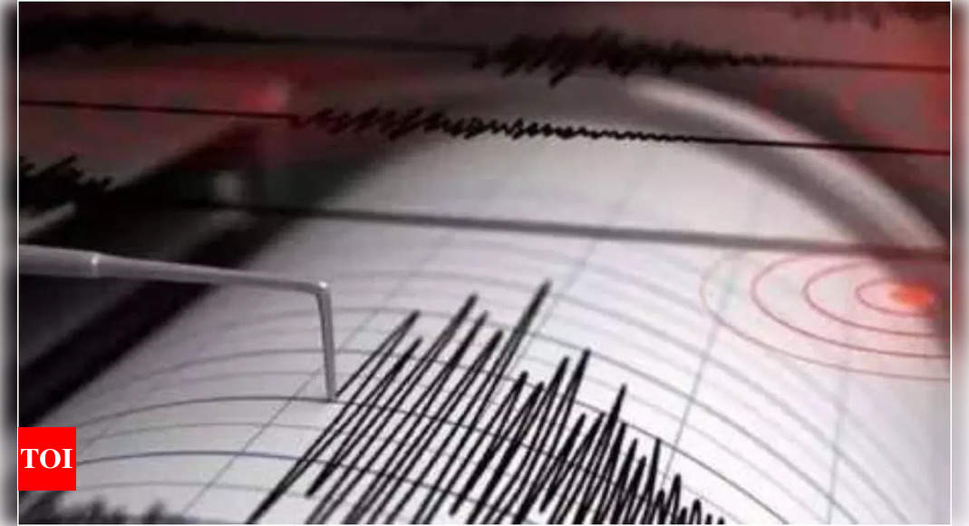 Los Angeles hit by dozens of aftershocks from 4.7 Malibu earthquake – Times of India