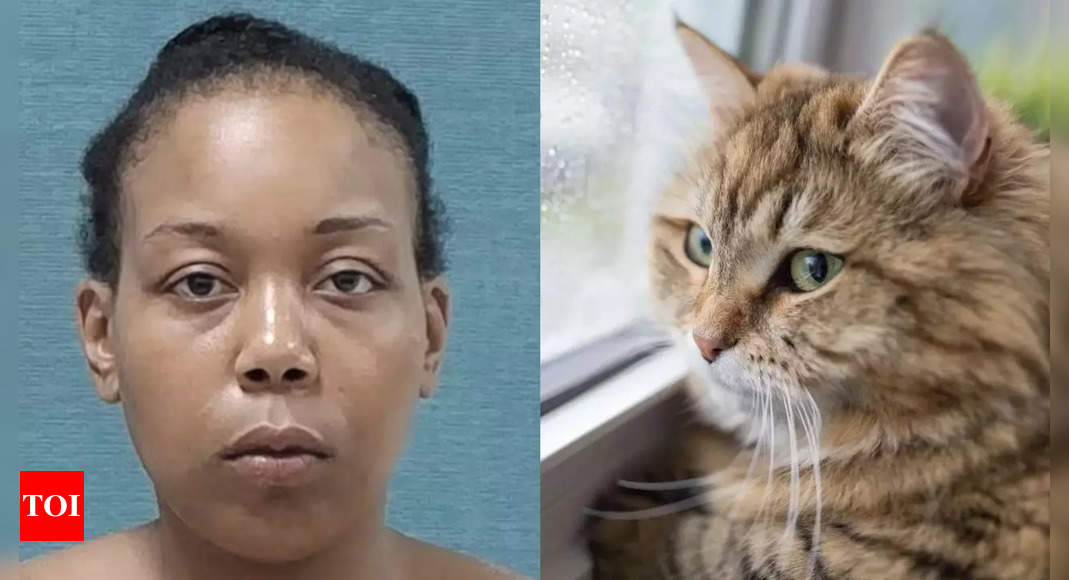 Haitian immigrant's pet-eating controversy: Ohio woman accused of eating cat is US citizen; video comes from Canton, not Springfield | World news