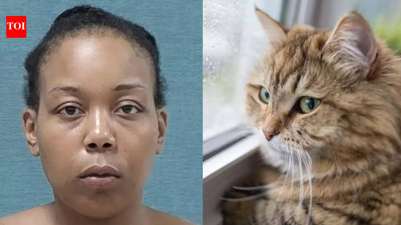 Haitian immigrant pet eating row: Ohio woman accused of eating cat is