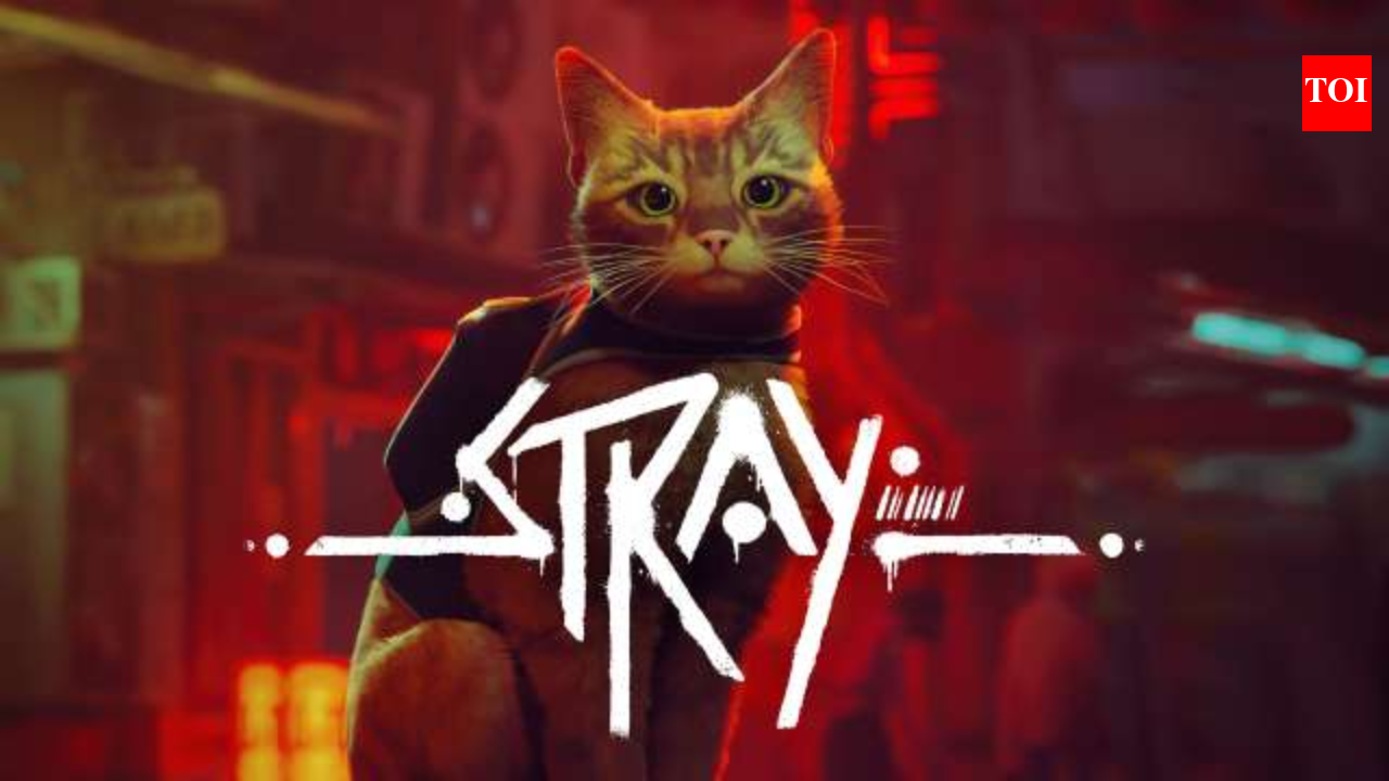 The entire staff of the gaming studio behind the popular cat game
