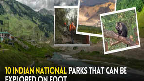 10 Indian national parks that can be explored on foot