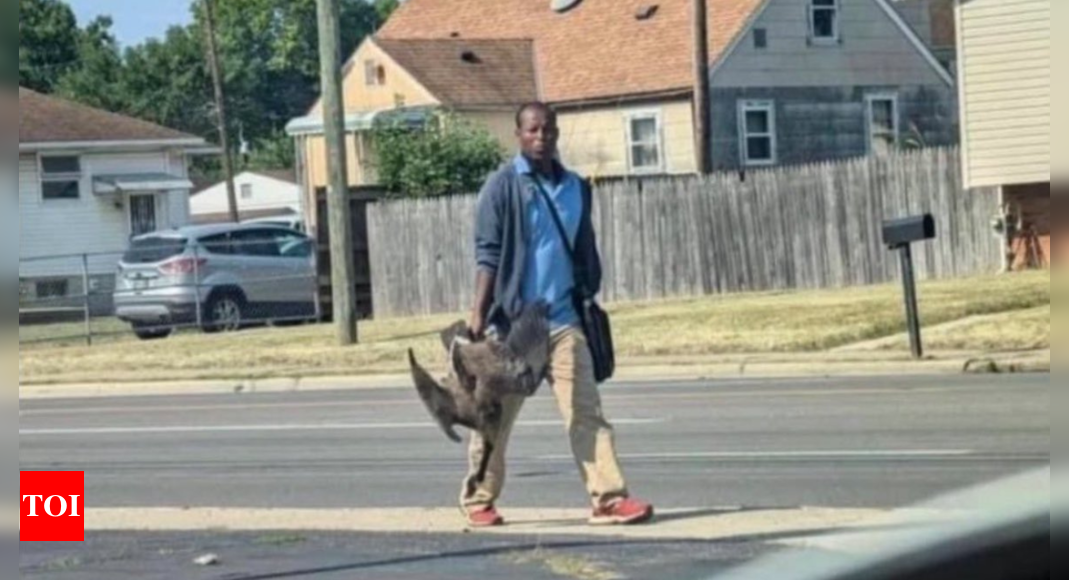 Haitian row: Photographer of viral ‘man carrying duck’ says he thought it was… – Times of India