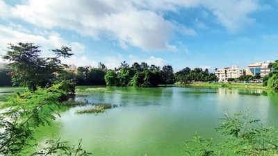 Testing flaws point to BBMP STPs choking 15 Bengaluru lakes: Study