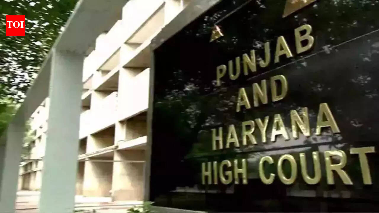 Punjab and Haryana HC denies bail to HCS officer Meenakshi Dahiya in Rs ...