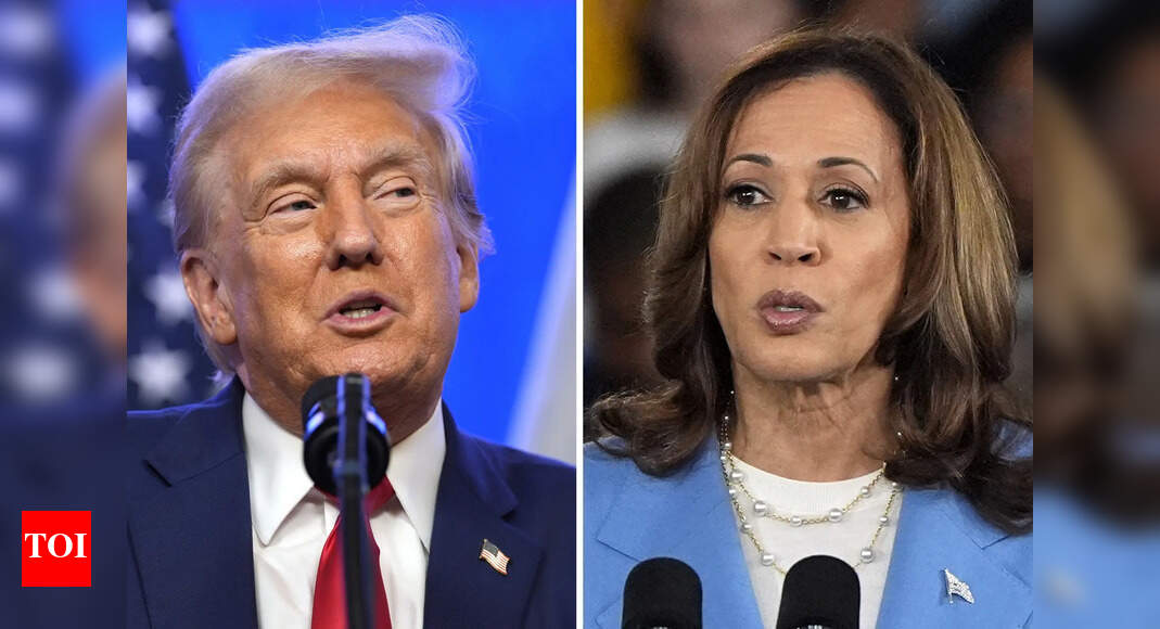 US elections: What Harris and Trump say about each other