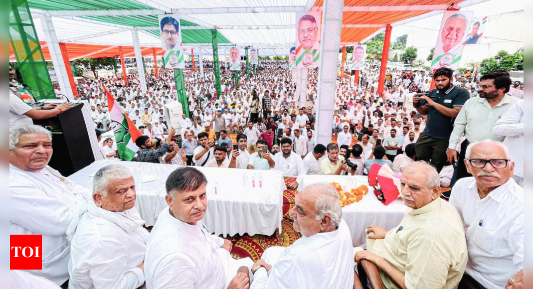 Congress Appoints Observers for Haryana Elections