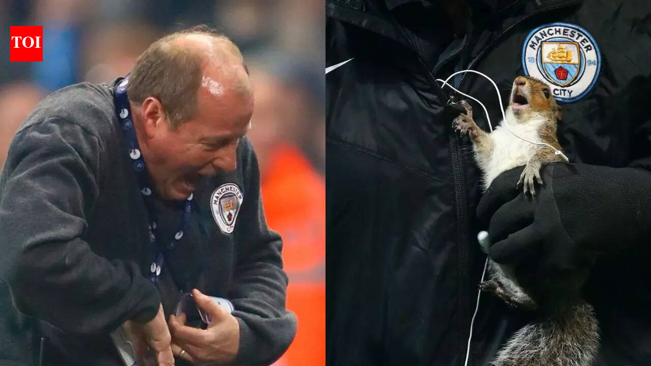Squirrel scare! When Manchester City groundsman bitten by unexpected ...