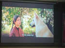 Polish film  A Dog Who Traveled by Train strikes a chord in Odisha