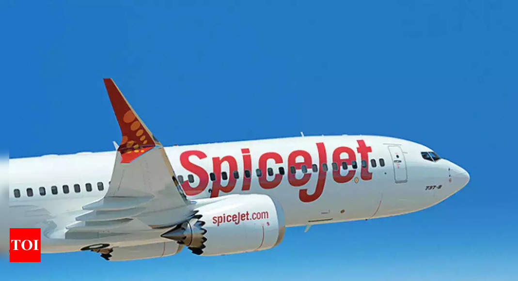 Passengers stage protest after SpiceJet cancels Delhi-Darbhanga flight