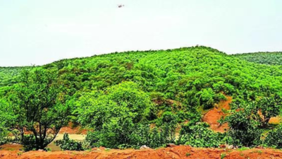 Notified Aravali forest portion sold for mining