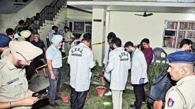 Chandigarh Grenade Attack Probe