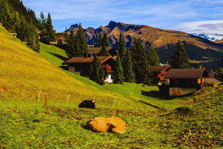 Murren