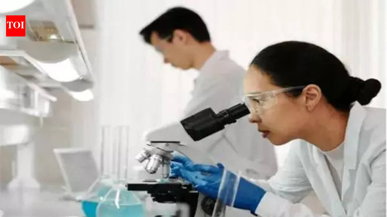 Study finds new target for treating heart failure - The Times of India
