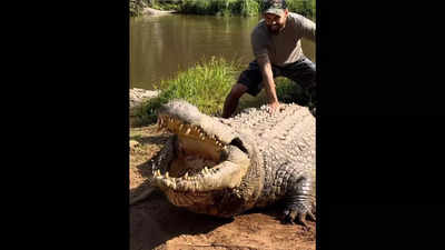 Robert Alleva's wild encounter with Henry, the world's oldest 124-year old crocodile; internet shocked | Watch video