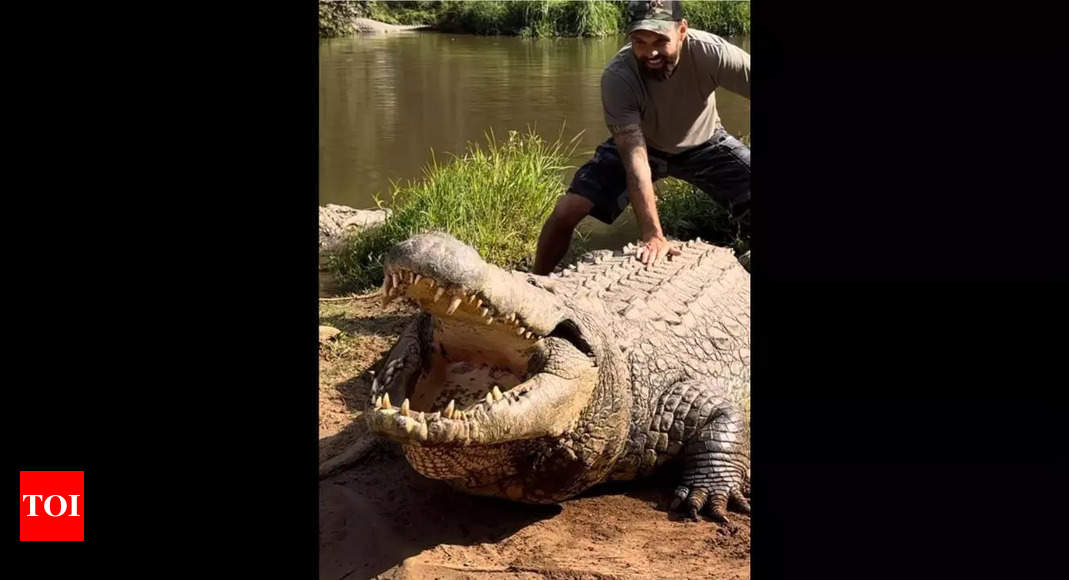 Man encounters 124-year-old crocodile