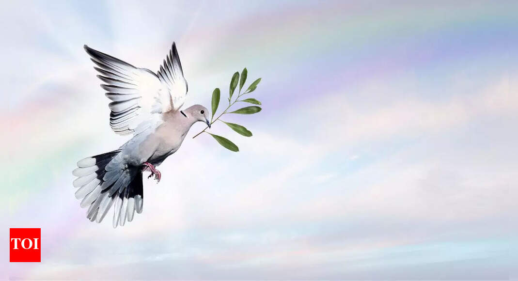 Peaceful Conflict Resolution Is The Way Forward - Times of India