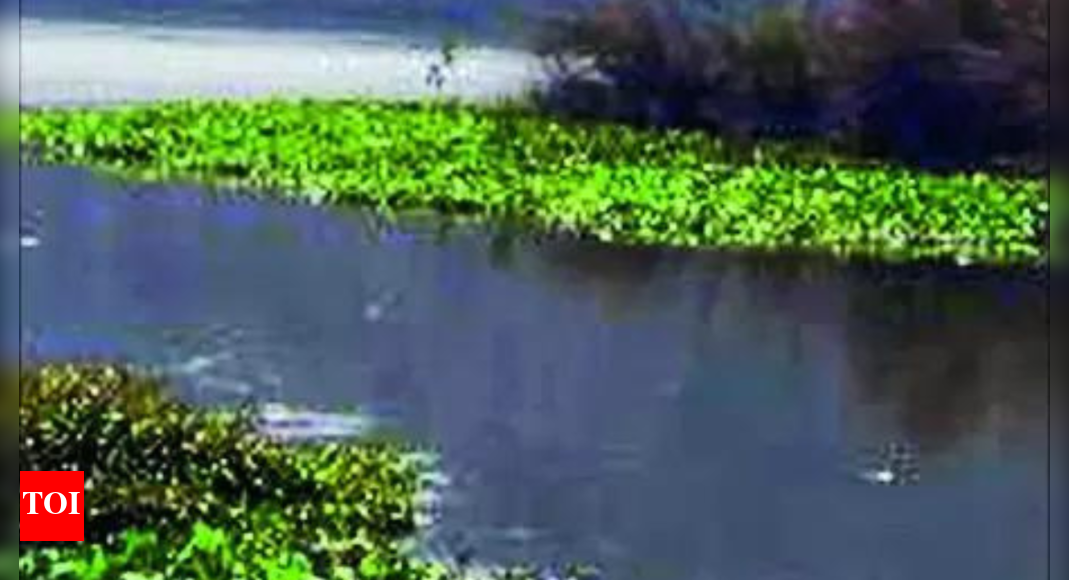 Punjab Water Resources Department Punjab Identifies Over 1,200