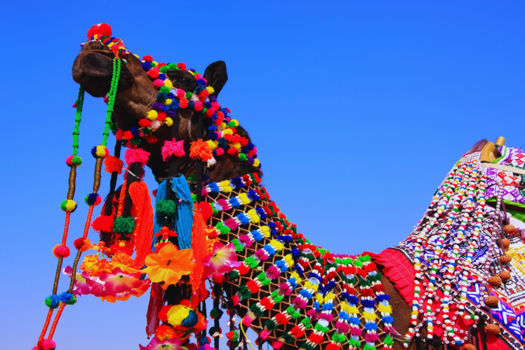 Jaisalmer Desert Festival, Rajasthan