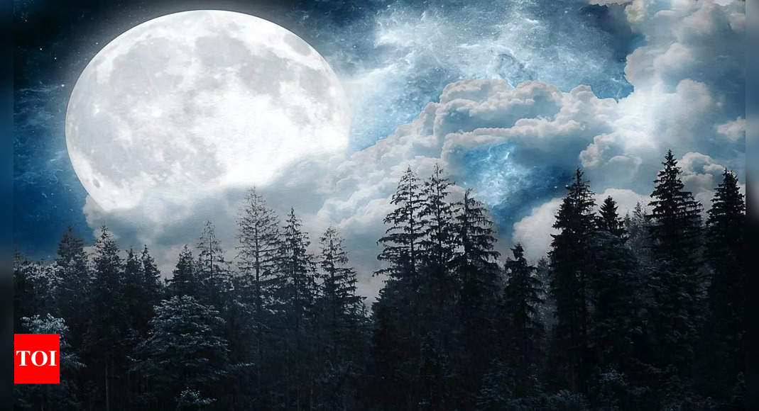 Full Moon in September 2024: How To Manifest During Harvest Moon | – Times of India