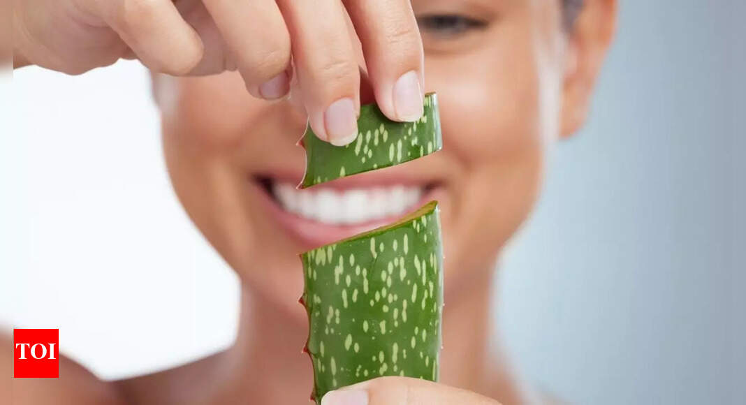 Aloe Vera for Scars: How to effectively fade scars with Aloe Vera ...