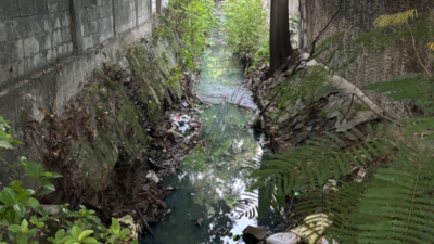 Nandanam, T Nagar face flood risk as canal works stalled