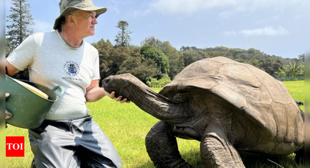 Meet Jonathan, world’s oldest living land animal, who is 191 years old