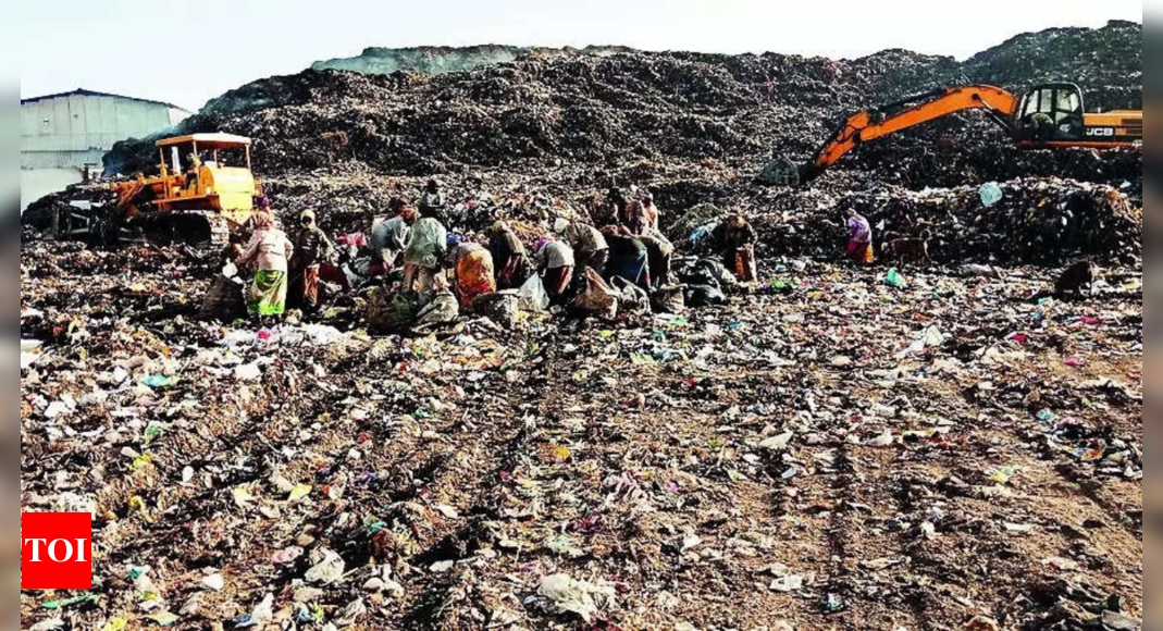 Waste disposal a solid problem for cities of Gujarat | Ahmedabad News