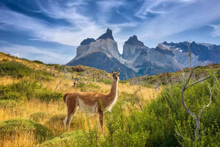 Torres del Paine National Park, Chile
